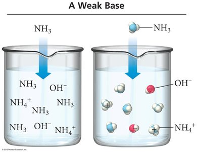 Weak base ionization