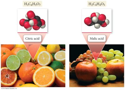 Citric and malic acids in fruits