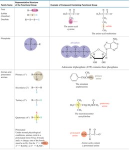 Table of functional groups: amines, phosphates, etc.