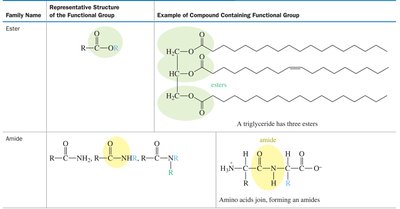 Table of esters and amides