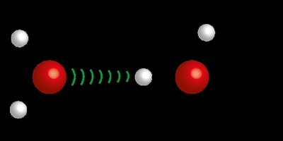 Hydrogen bonds between DNA bases