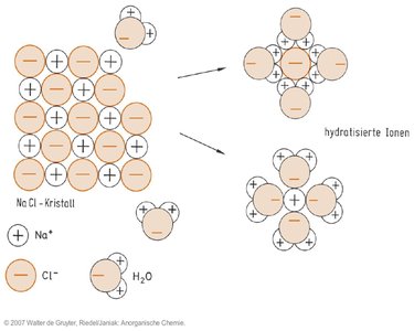 Hydrated ions in solution
