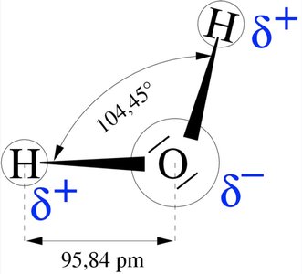 Water molecule showing bond angles and partial charges