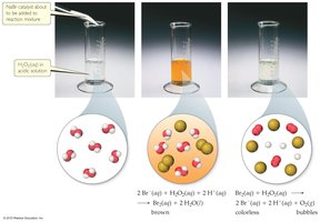Homogeneous catalysis in solution