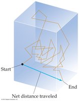Diffusion path in a box