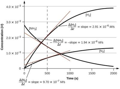 Concentration vs. time graph showing slopes for NH3, H2, and N2