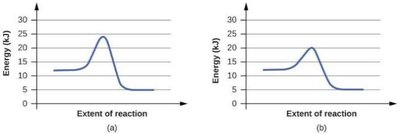 Energy diagrams for catalyzed and uncatalyzed reactions