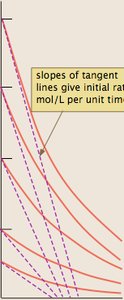 Initial rates graph