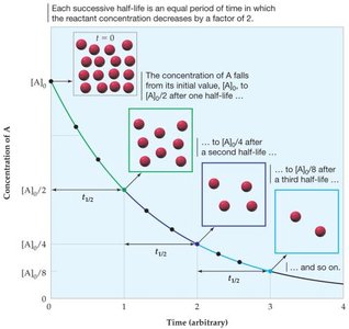 First-order half-life graph