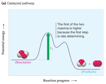 Catalyzed pathway energy diagram