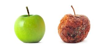 Apple fresh and rotten