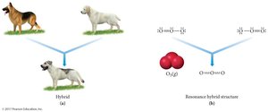 Resonance hybrid structure