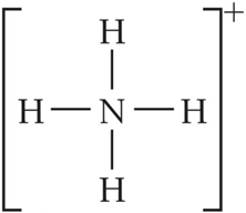 Bracketed Lewis structure for ammonium ion