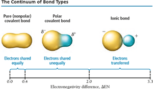 The continuum of bond types: pure covalent, polar covalent, and ionic