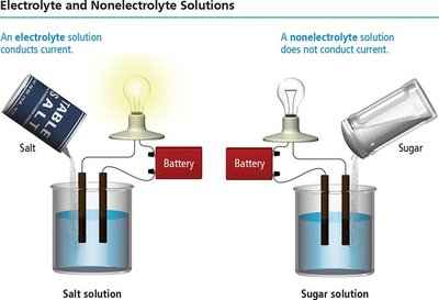 Electrolyte and nonelectrolyte solutions