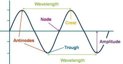 Wave diagram showing wavelength, amplitude, crest, trough, and node