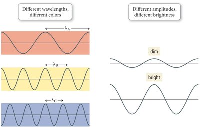 Comparison of different wavelengths (colors) and amplitudes (brightness)