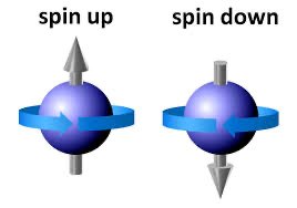Electron spin: spin up and spin down