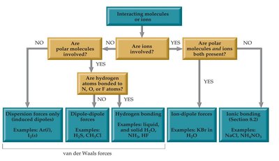 Surface tension: water drops on spider web