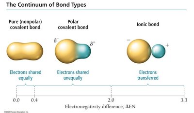 Bond type continuum