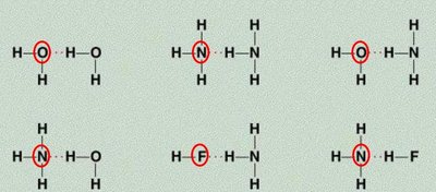 Hydrogen bonding examples