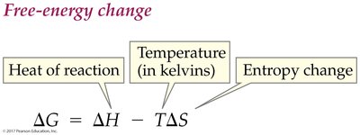 Free-energy change equation