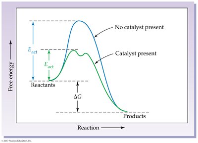 Catalyst effect on reaction energy diagram