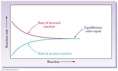 Reaction rate diagram at equilibrium