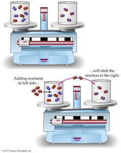 Equilibrium balance diagram
