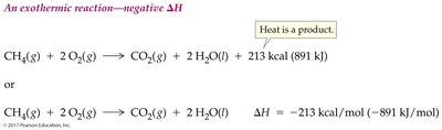 Exothermic reaction equation