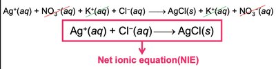 Net ionic equation example