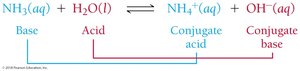 Brønsted–Lowry acid-base reaction with NH3 and H2O