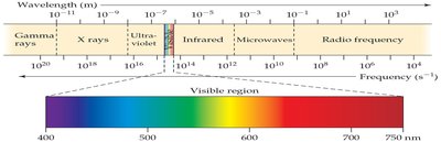 Electromagnetic spectrum with visible region highlighted
