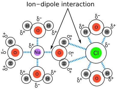 Ion-dipole interaction diagram