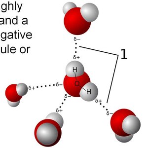 Hydrogen bonding between water molecules