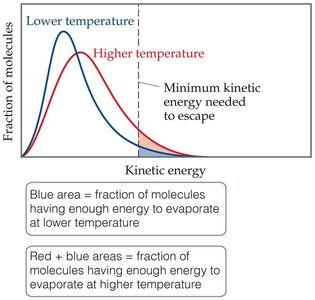 Kinetic energy distribution and vaporization