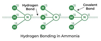 Hydrogen bonding in ammonia