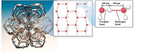 Hydrogen bonding in ice structure