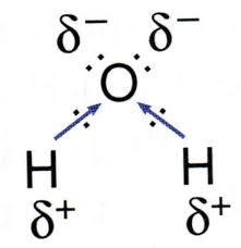 Polarity and oxidation states in water molecule