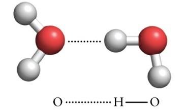 Hydrogen bond between water molecules