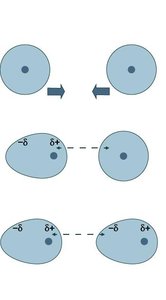 Dispersion and molecular size