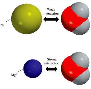 Hydrogen bonds in water cluster