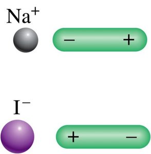 Ion-dipole interaction: Na+ and Mg2+ with water