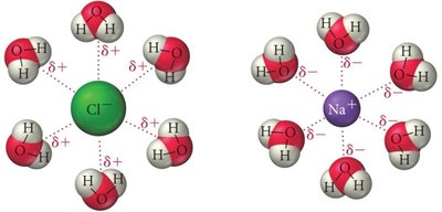 Hydration of Cl- and Na+ ions