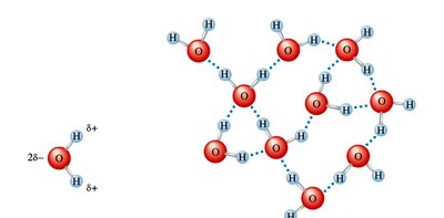 Hydrogen bonds in ice