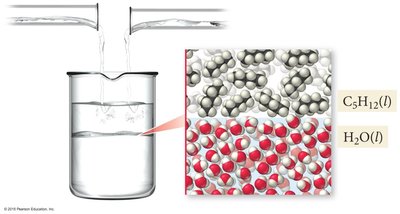Immiscible liquids: pentane and water