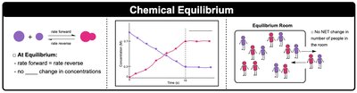 Chemical Equilibrium diagram