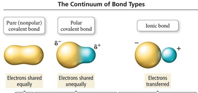 The continuum of bond types: nonpolar covalent, polar covalent, and ionic