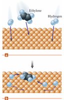 Heterogeneous catalysis: adsorption of ethylene and hydrogen on a catalyst surface