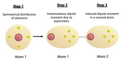 London Dispersion Forces mechanism